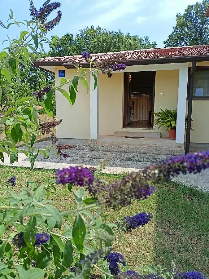 Apartment Studio Ta-Ti Umag